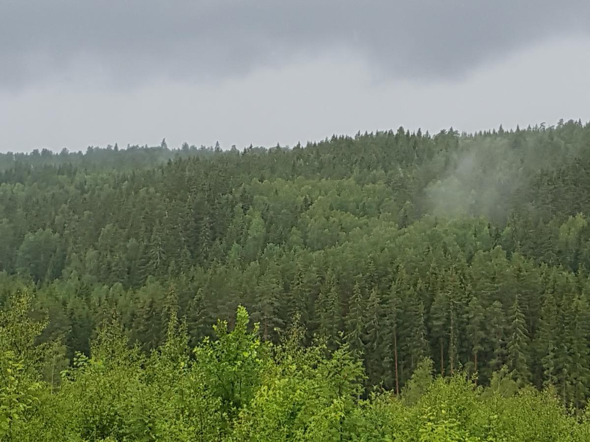Tranas Vandrarhem Kültér fotó